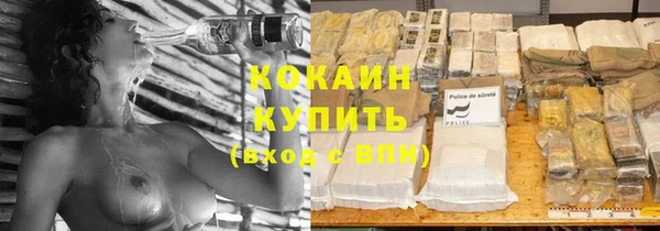 ешки Бердск