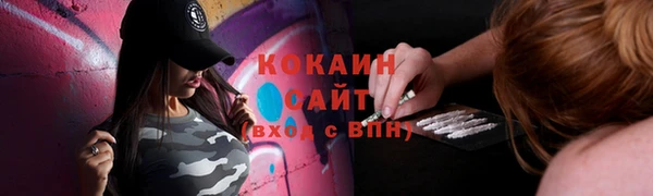дмт Протвино