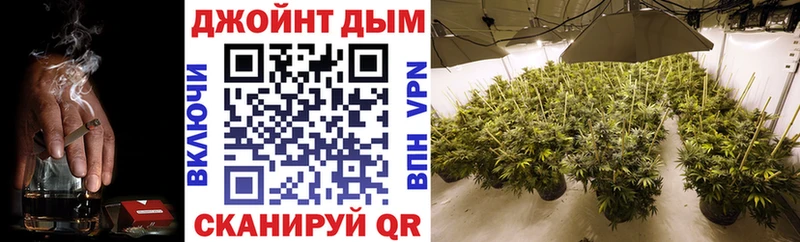 наркотики Богородицк hydra ссылка Бошки Шишки сатива